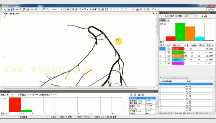 LA-S植物根系分析儀，根系分析系統(tǒng)，根系掃描儀，根系圖像分析儀，用于對(duì)洗凈的植物根系進(jìn)行多參數(shù)、批量化的快速自動(dòng)分析。
