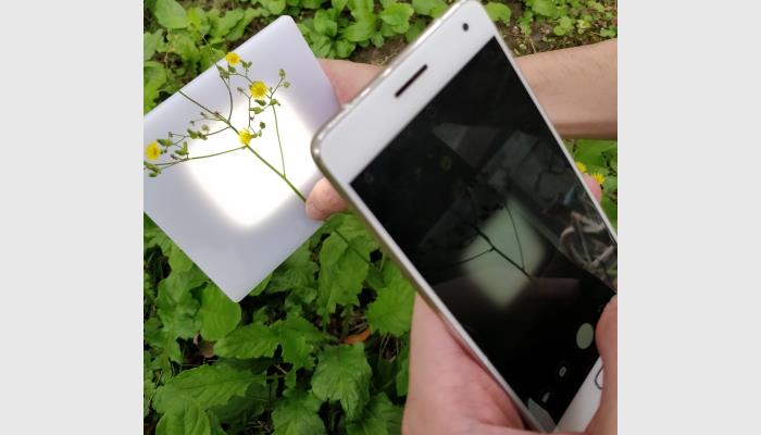 油菜、樹(shù)枝等的分枝角、水稻小麥等的莖葉角是作物表型基本參數(shù)，其人工測(cè)量獲取工作繁重。萬(wàn)深SC-K1型植物分支角自動(dòng)測(cè)量?jī)x利用機(jī)器視覺(jué)智能識(shí)別技術(shù)來(lái)自動(dòng)批量化獲得精準(zhǔn)的枝角測(cè)量結(jié)果，為育種選材提供依據(jù)。