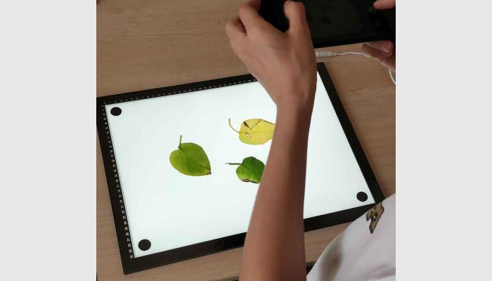 LA-M增強(qiáng)版手機(jī)版葉面積分析儀系統(tǒng)，葉面積儀，葉面積測(cè)量?jī)x，葉面積測(cè)定儀，便攜式葉面積儀,活體葉面積測(cè)量?jī)x。用于快速便捷地在野外分析測(cè)量原位的植物葉面積等。